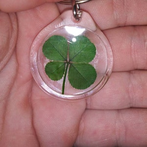 Redd added a photo of their purchase