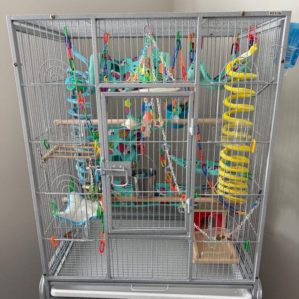 Ready to Ship/8 Piece Sugar Glider Cage Set/rainbow Candy /sugar Glider ... - Sugar Glider Cage Shiny Objects
