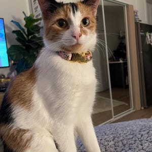 Sophie added a photo of their purchase