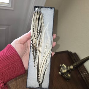 Gina added a photo of their purchase