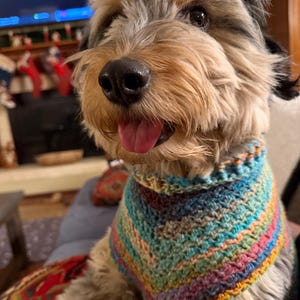 Lauren added a photo of their purchase