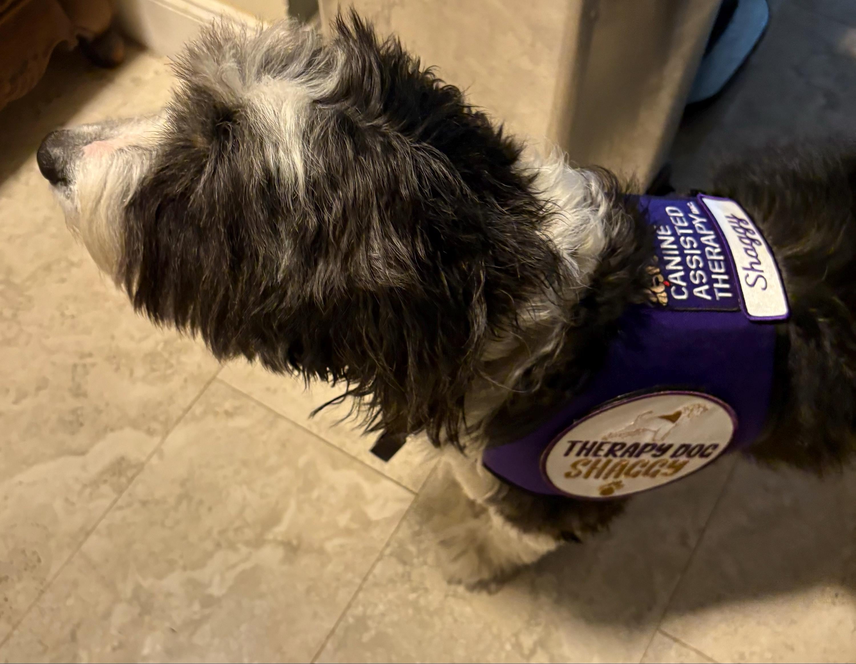 Custom vintage-styled iron-on name tag patch.   For your uniform, shirt, apron, coveralls, backpack, jacket, vest or dog harness