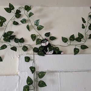 Jake added a photo of their purchase