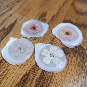 Pressed Flowersrice White Pressed Flowers 8 Pcs/packpressed | Etsy