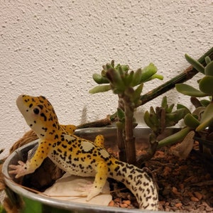 Verena added a photo of their purchase