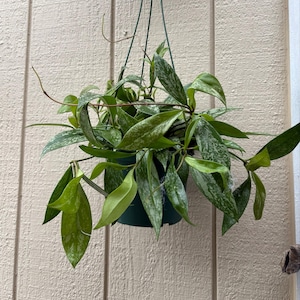 K added a photo of their purchase