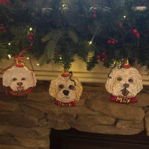 Noelle added a photo of their purchase
