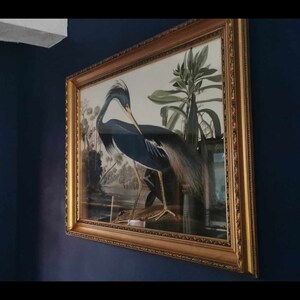 pigeon ha añadido una foto de su compra