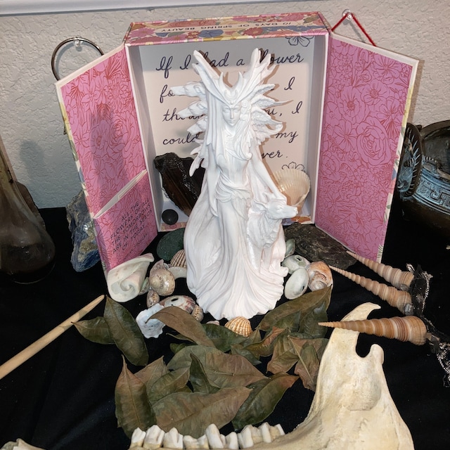 elischwe added a photo of their purchase