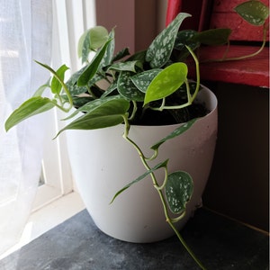 Andrew added a photo of their purchase