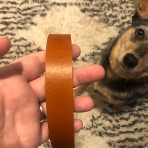 Chelsey added a photo of their purchase