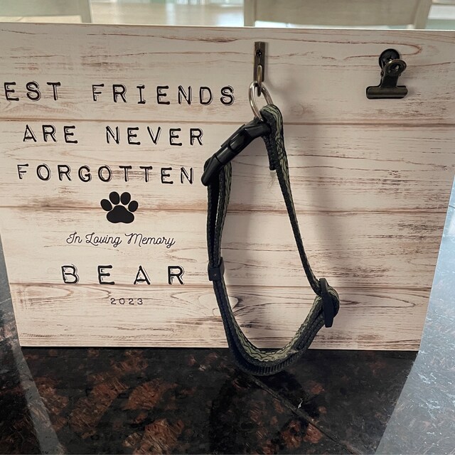 Best Friends Are Never Forgotten - Pet Memorial Custom Picture Frame –  Sunny Box