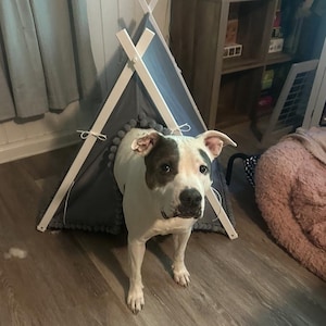 Danger added a photo of their purchase