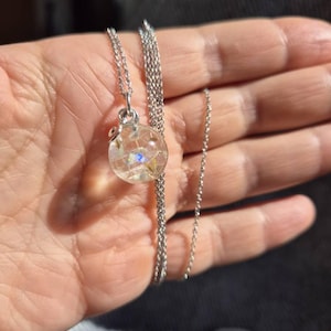 Laura added a photo of their purchase