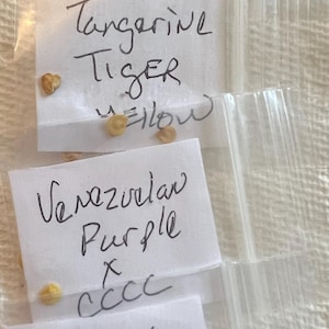 Susan added a photo of their purchase