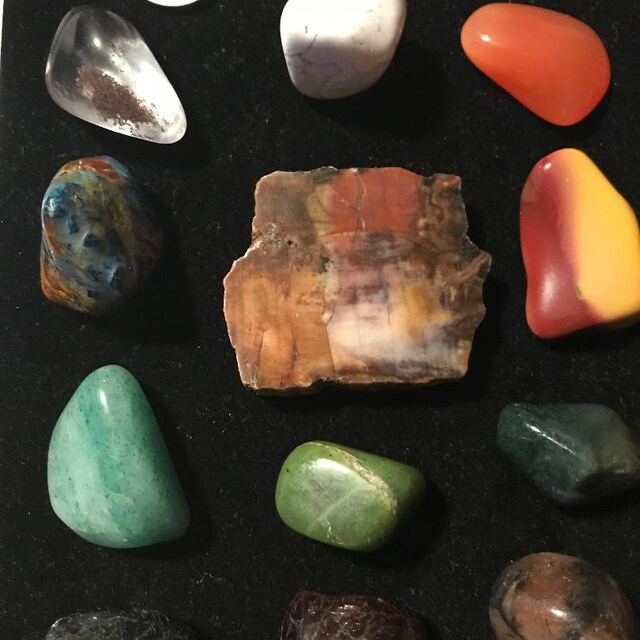 化石木石（1.5インチ～4インチ）化石木板 - 化石木片 - 化石標本