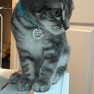 Gemma hat ein Foto des gekauften Artikels hinzugefügt