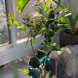 Erik added a photo of their purchase