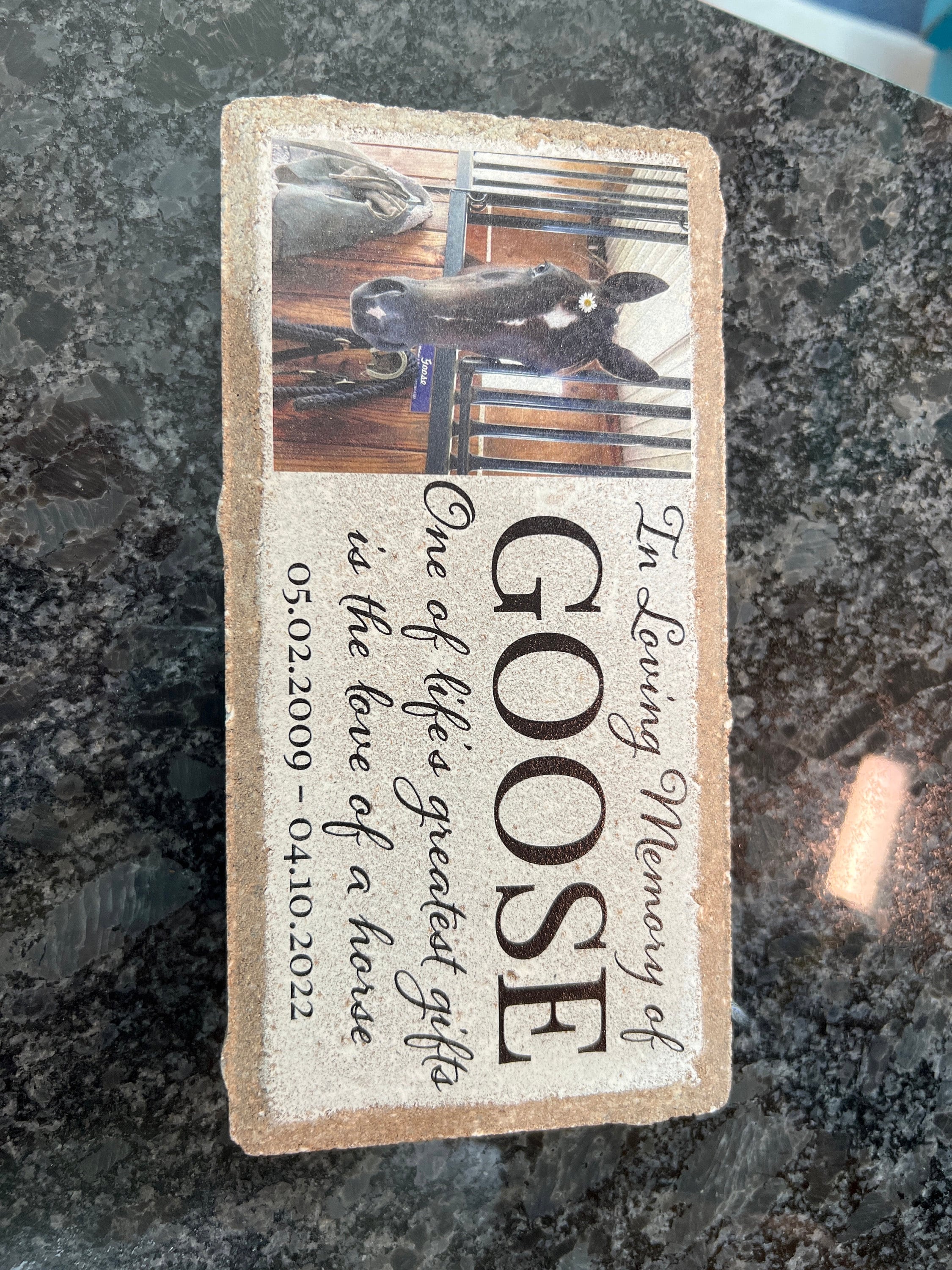 Personalized Horse Pony Memorial Stone. 8x4 Stone Brick. Burial Marker. Indoor/Outdoor Horse Memorial. Custom Horse Sympathy Gift.