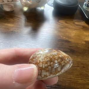 Tina added a photo of their purchase