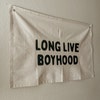 Long Lve Boyhood Banner Boys Wall Decor Baby Boy Nursery Sgns Boy