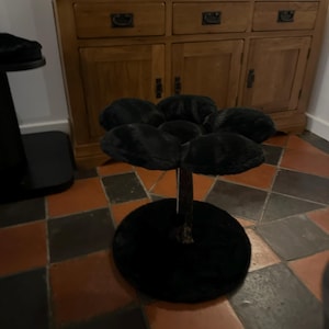 Diane added a photo of their purchase