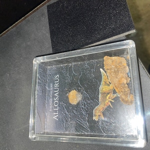 Nick added a photo of their purchase