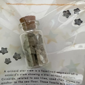 Charlotte ha aggiunto una foto del proprio acquisto