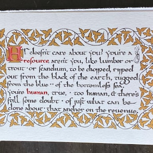 Kyle added a photo of their purchase