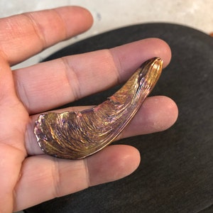 Rowan added a photo of their purchase