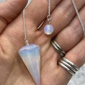 anna added a photo of their purchase