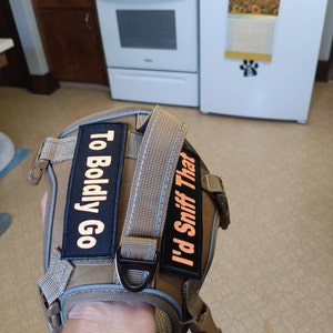 Rachel さんが購入した商品の写真を追加しました