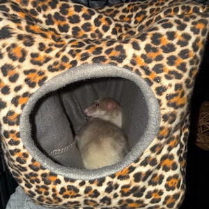 Lilly added a photo of their purchase