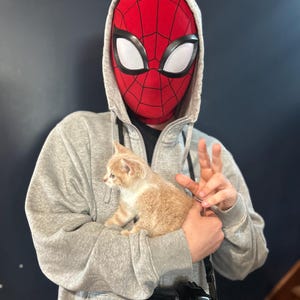 スペクタキュラー・スパイダーマン フェイスシェル+レンズ+布製マスク