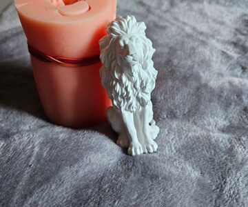 Popsicle Molds, cakesicle molds,Silicone Popsicle Molds, popsicle mold 12 Pieces 50 Popsicle Sticks (Random Color)