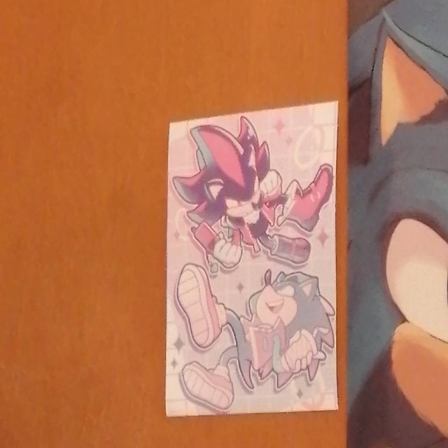 Sonic & Shadow A4 Print -  Denmark