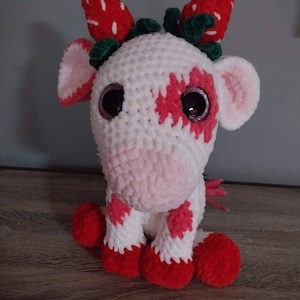 Hayley added a photo of their purchase