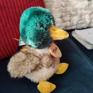 Margaret added a photo of their purchase