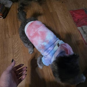 haleigh added a photo of their purchase