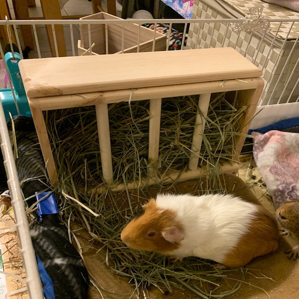 View of Guinea Pig Hay Feeder, Hay Rack Wooden, Made by Asaswood - Etsy