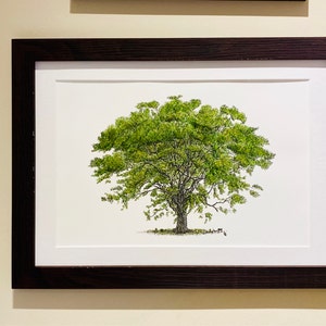 MSillo added a photo of their purchase