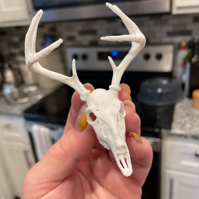 3Dプリントされたミニ鹿の頭蓋骨 - Etsy 日本