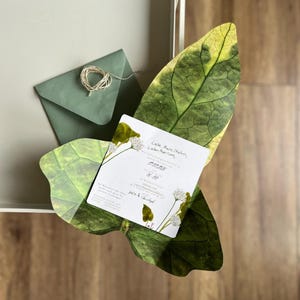 Nele added a photo of their purchase
