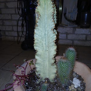 Donna added a photo of their purchase