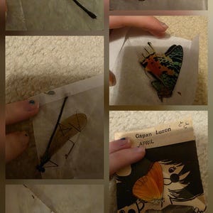 Emily added a photo of their purchase