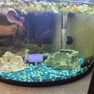 Wendy added a photo of their purchase