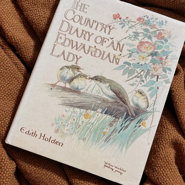 洋書 イギリスアンティーク The Country Diary of an The Country Diary of an Edwardian Lady by Edith Holden