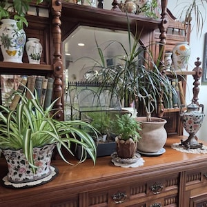 Diane added a photo of their purchase