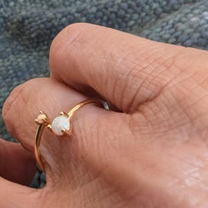 Margrit added a photo of their purchase