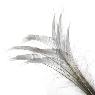 Angel White Feather Light Weight Long Sleeve